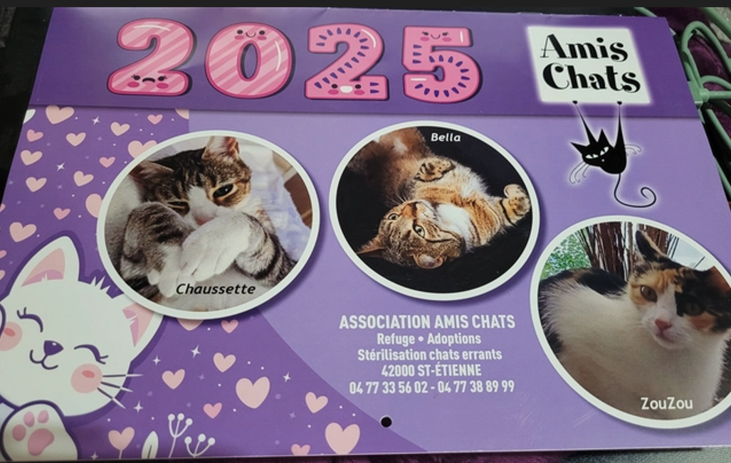 Photo de Calendrier 2026