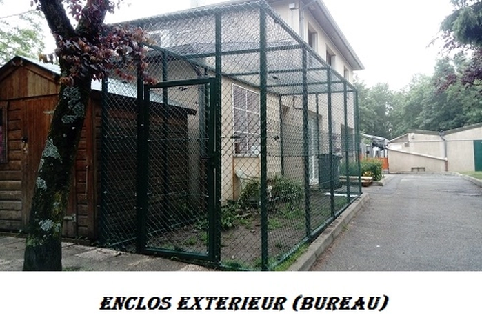 Photo de Modalités d’adoption