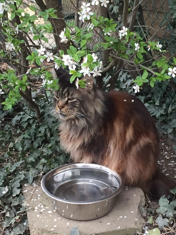 Le printemps est arrivé