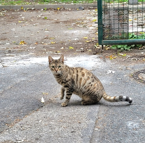 April - femelle, 1 ans