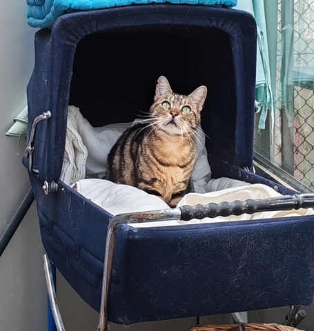 Photo de Mégane