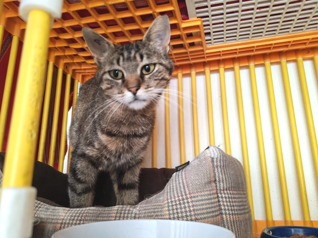 Photo de ZELDA