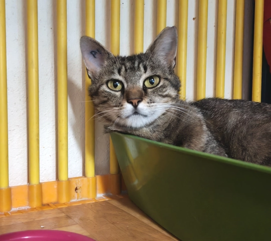 Photo de ZELDA