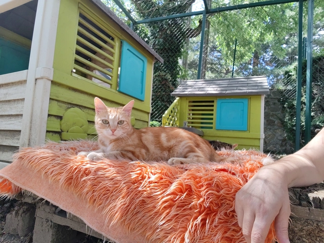 Photo de LUNA