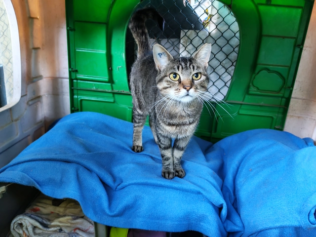 Photo de ZELDA
