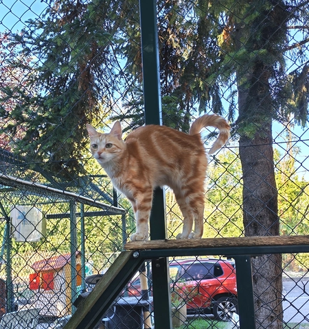 Photo de LUNA