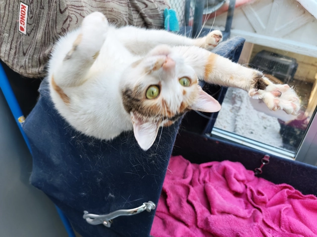 Photo de Mimi