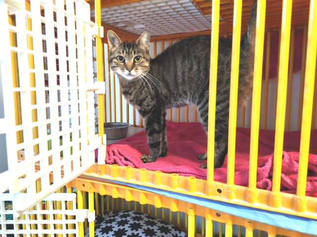 Photo de ZELDA
