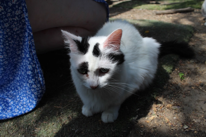 Photo de Vanille & Flocon