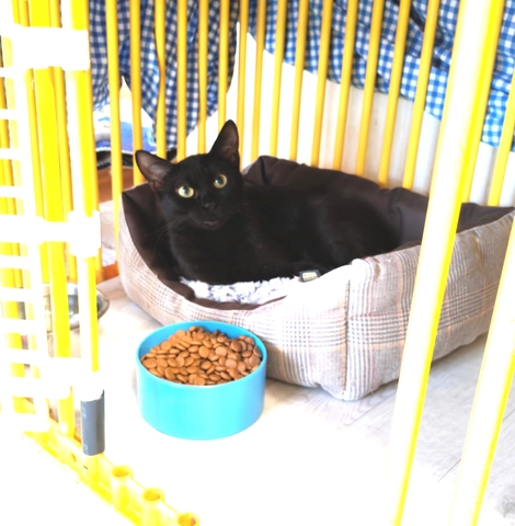 Photo de LOLA