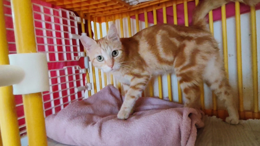 Photo de LUNA