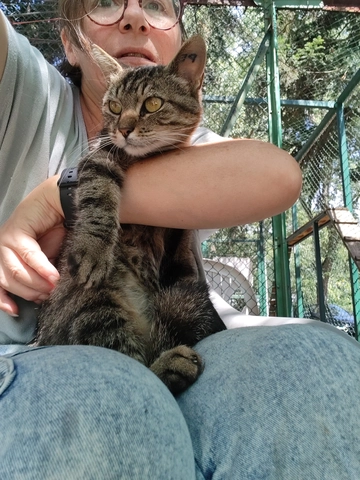 Photo de ZELDA