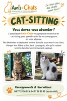 Illustration de L’association propose du cat-sitting