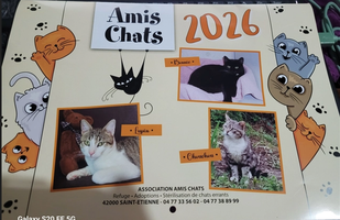 Illustration de Calendrier 2026