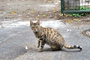 April - femelle, 1 ans