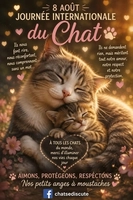 JOURNEE INTERNATIONALE DU CHAT - male, Âge inconnu