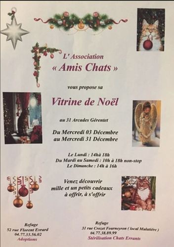 Évènement : Vitrine de noël 2025